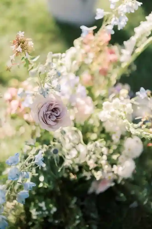 A Garden Wedding for Kelsey  and Geoff