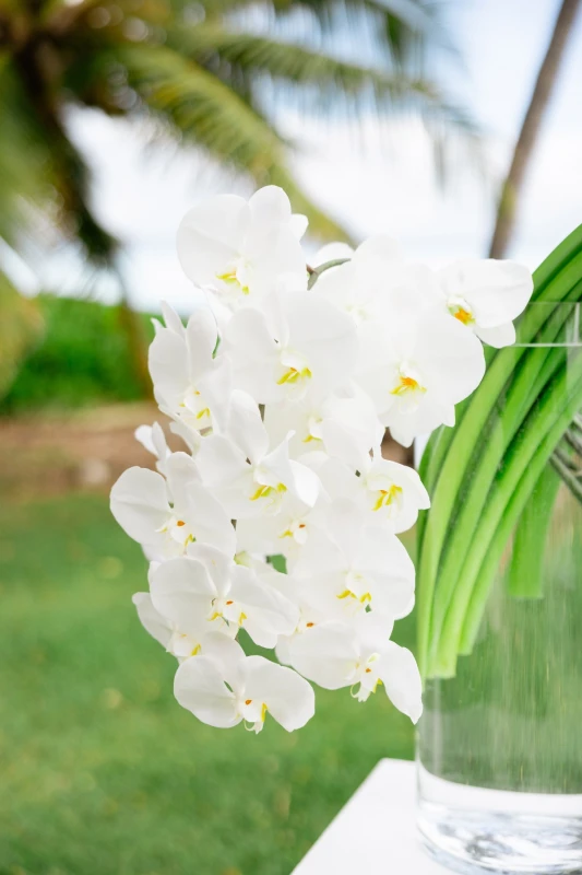 A Beach Wedding for Kelsey and John