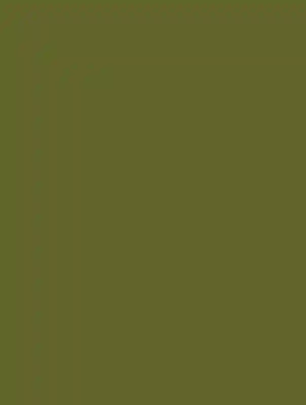 A Mountain Wedding for Kenna and Miller