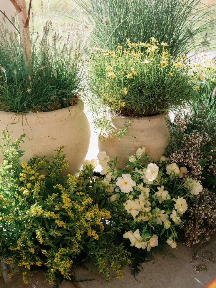 Kenneth Cooper Films