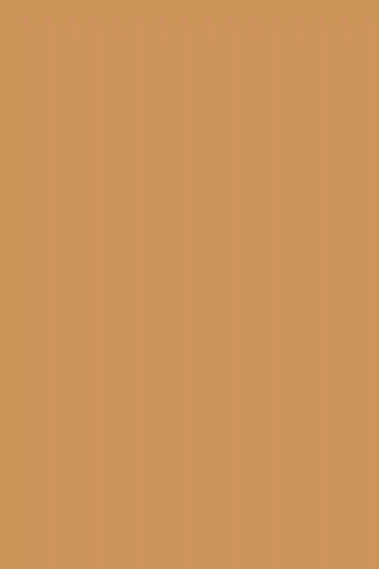 A Boho Wedding for Kevin and Kate