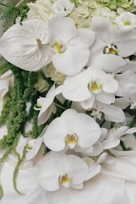 A Vintage Elopement for Kirsten  and Jake