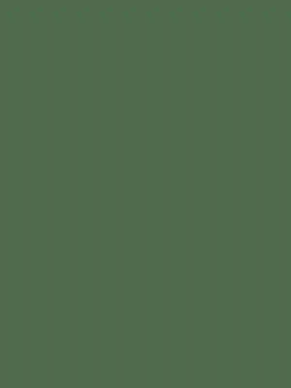 A Vibrant Wedding for Krista and Christopher