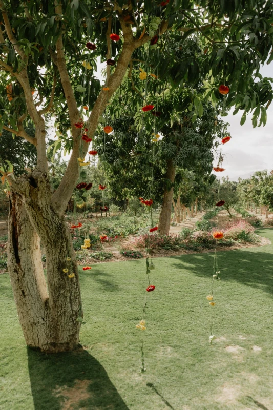 A Colorful Wedding for Kristi and Courtney