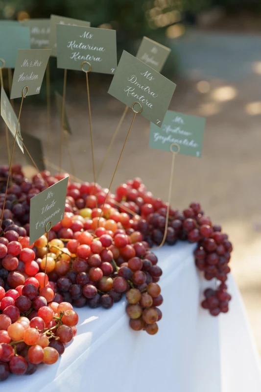 A Fruitful Wedding for Kristina and Christopher