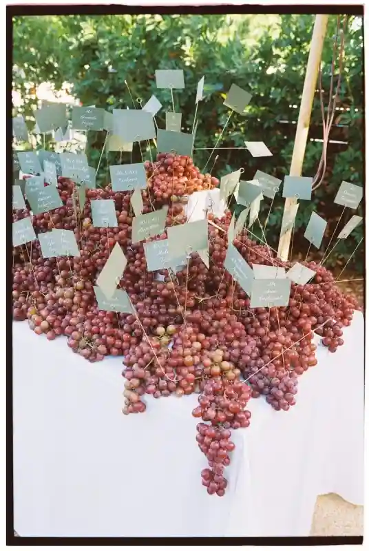 A Fruitful Wedding for Kristina and Christopher
