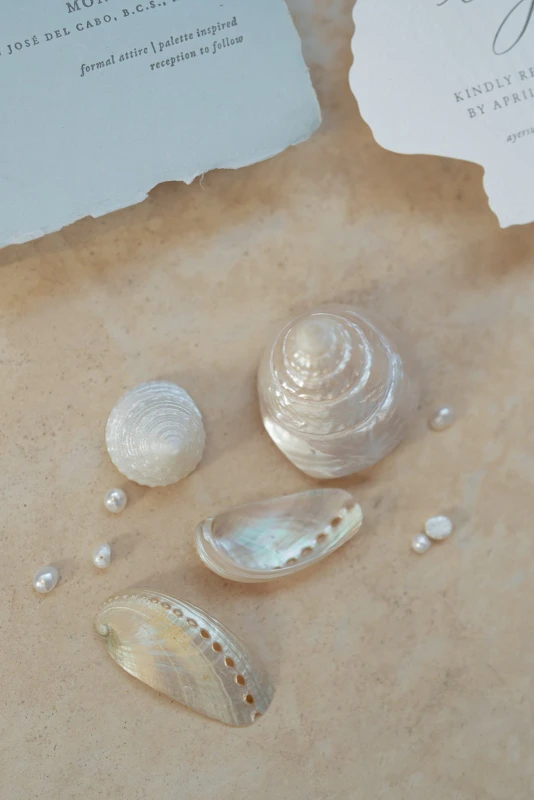 A Baja Wedding Washed Ashore in Shell, Pearl and Sea Glass
