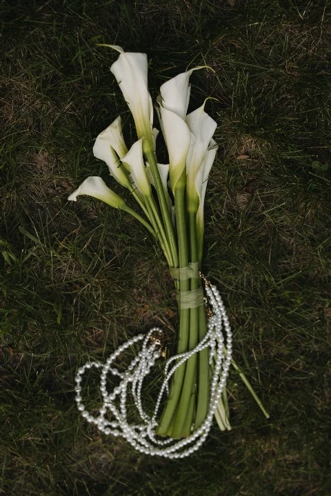 Kylie Hagerman Photography