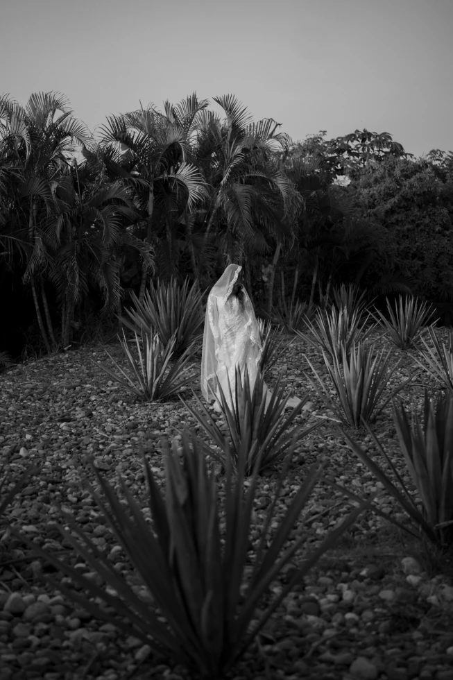 La Costa Photo Puerto Vallarta Wedding Photographer 