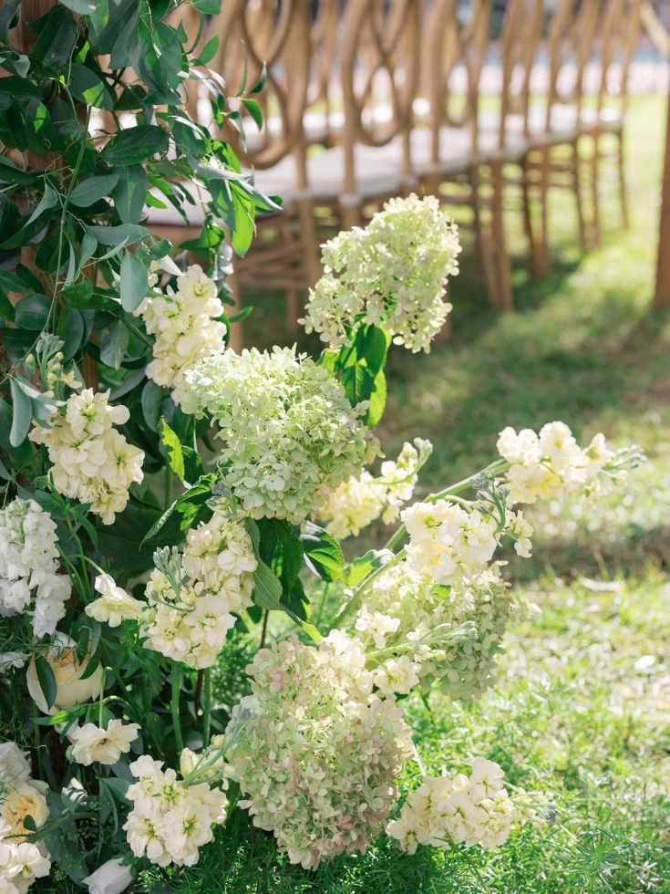 Lana Marie Photography