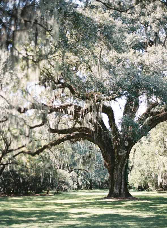 A Boho Wedding for Lara and Dennis James