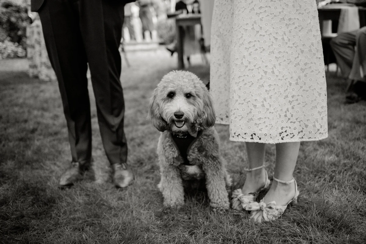 An Outdoor Wedding for Laura and Alex