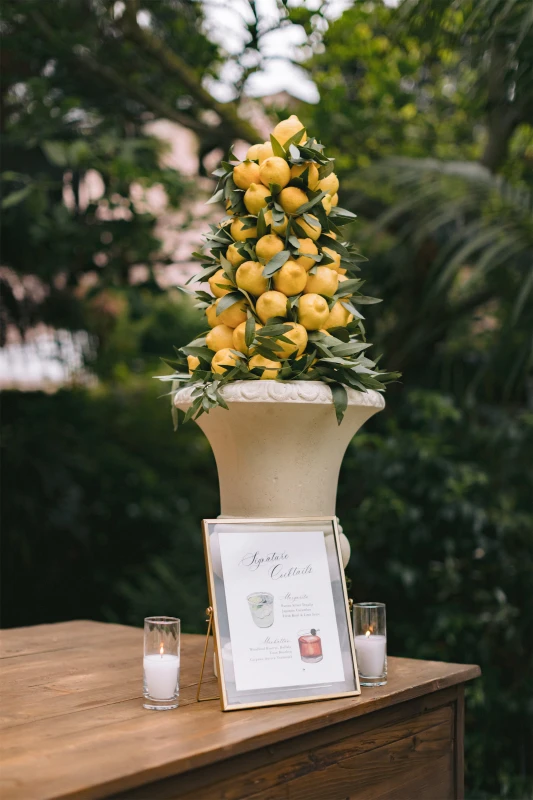 A Garden Wedding for Lauren and Anthony