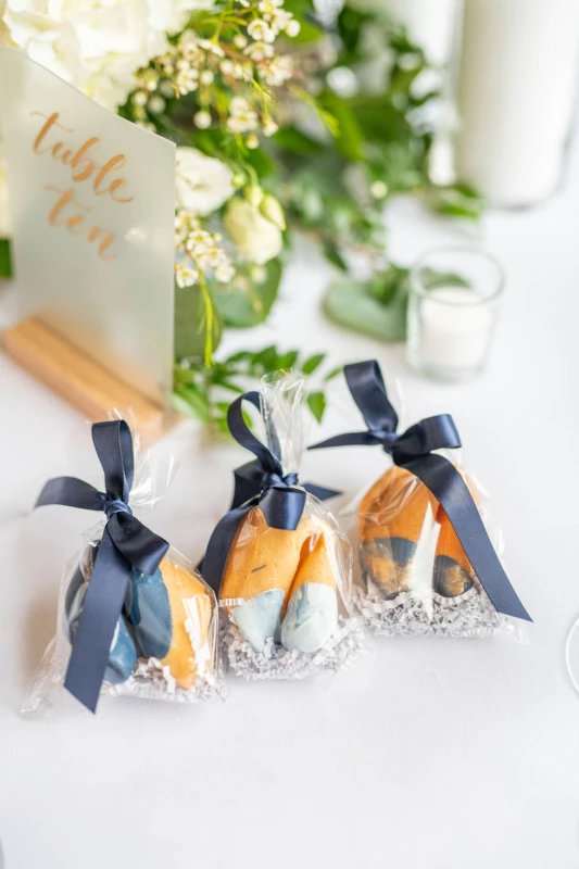 A Beach Wedding for Lauren and Cam