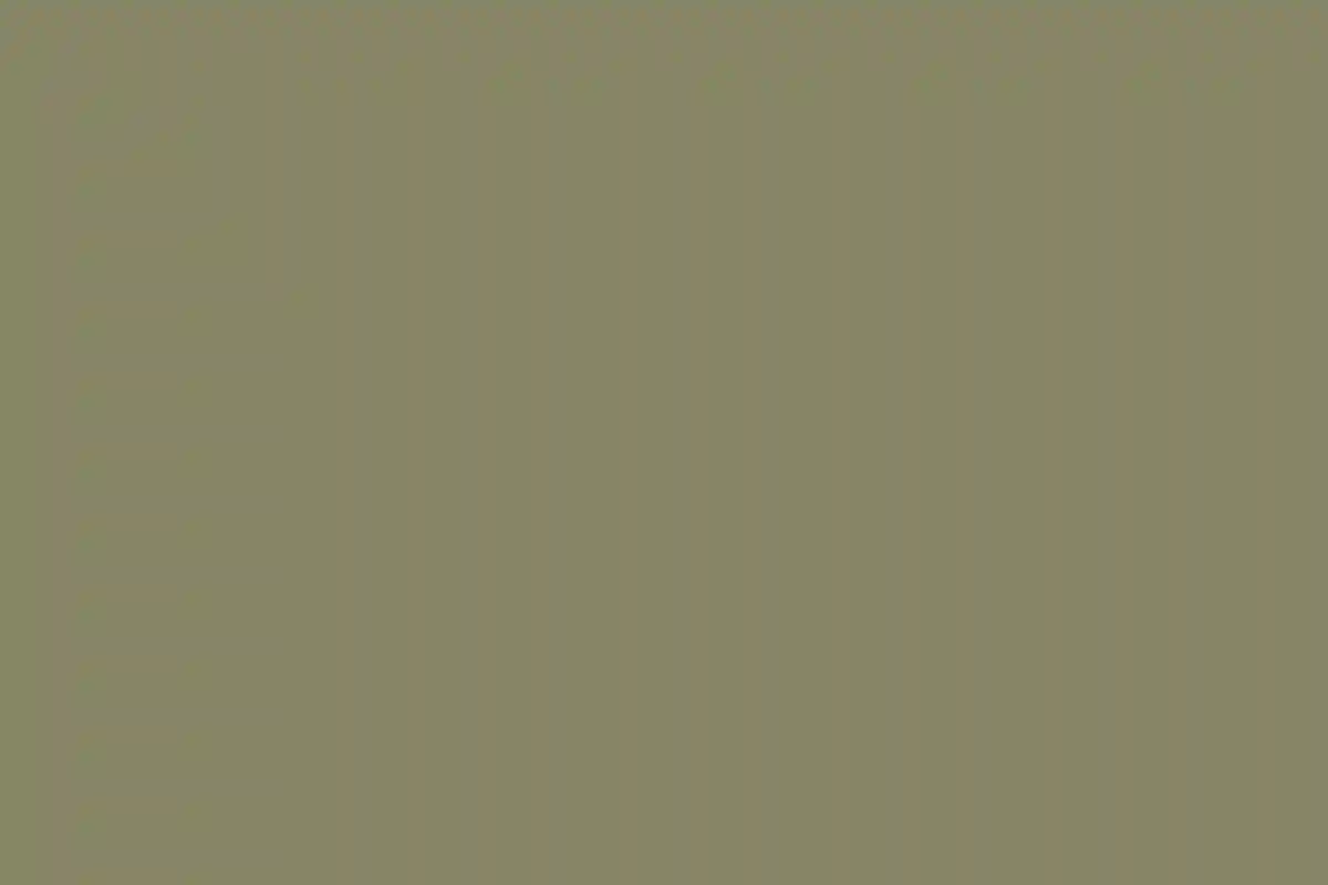 An Outdoor Wedding for Lauren and Matt