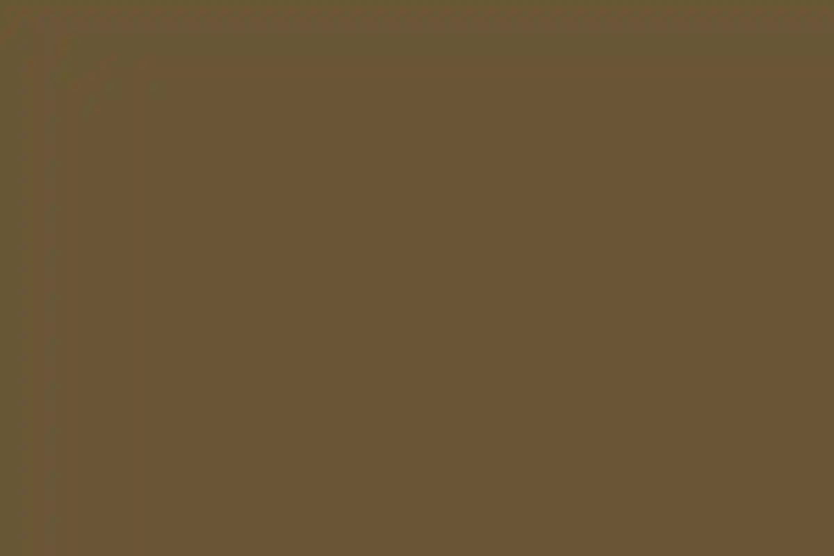 An Outdoor Wedding for Lauren and Matt