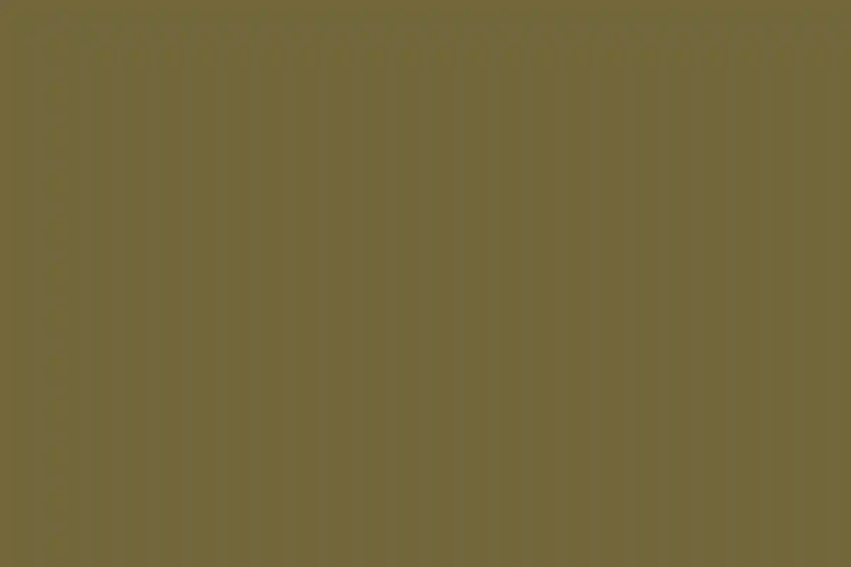 An Outdoor Wedding for Lauren and Matt