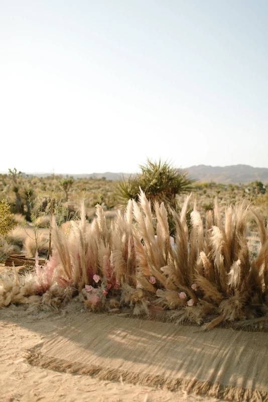 A Desert Wedding for Lauren and Matt