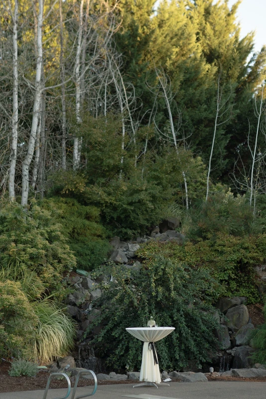 An Outdoor Wedding for Lauren and Montigo