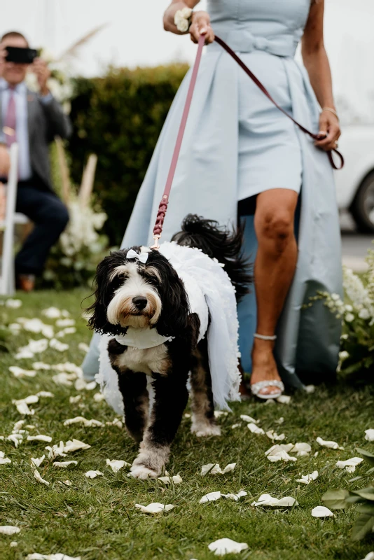 A Waterfront Wedding for Lexie and Thatcher