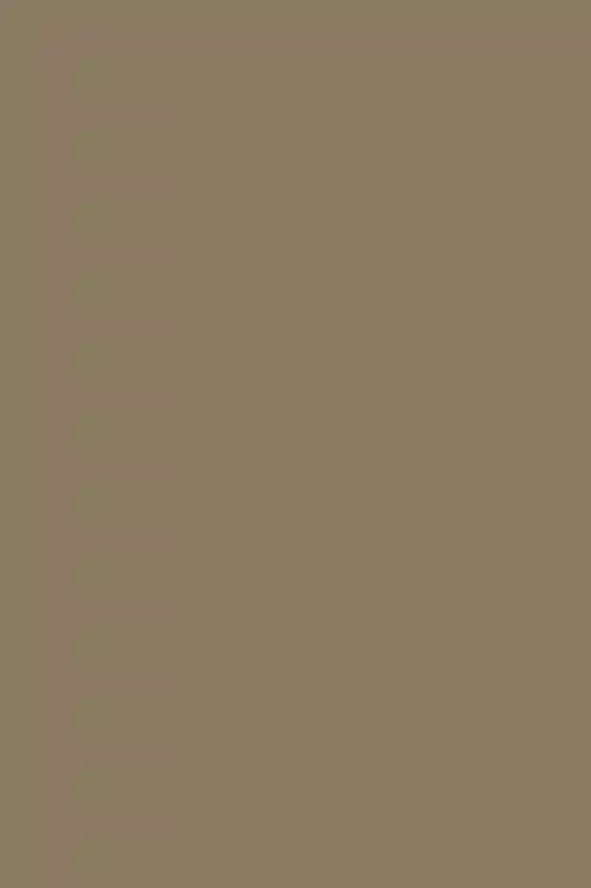 A Summer Story of Countryside Ease