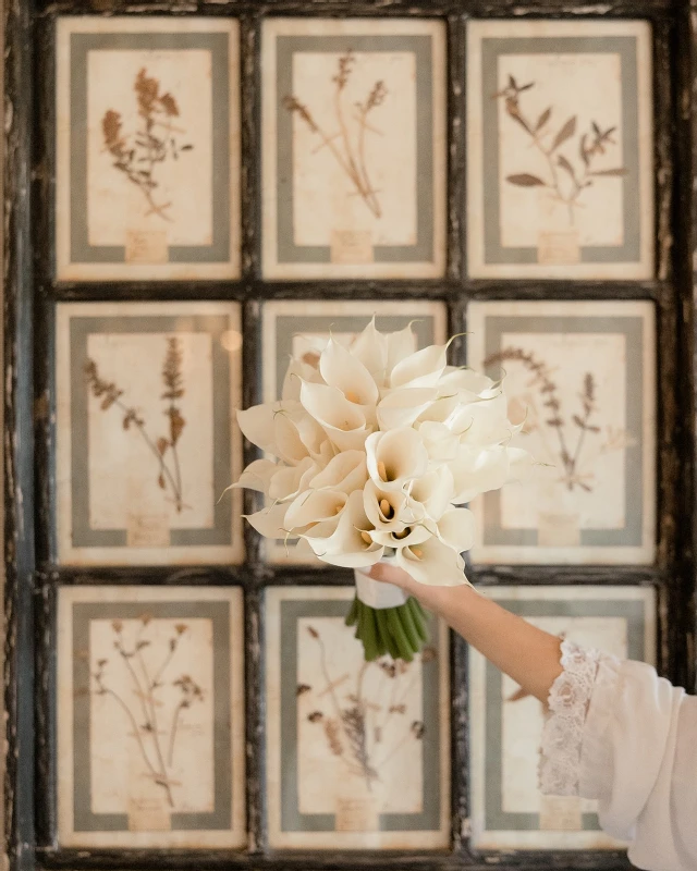 A Formal Wedding for Lily and Kevin