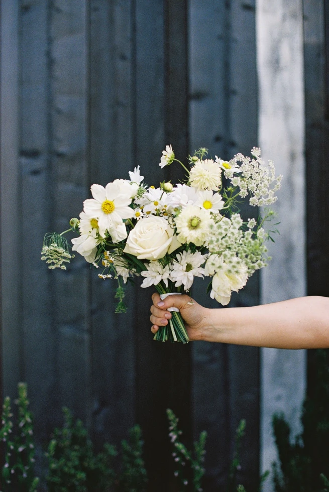 Lindsey Billings Photography