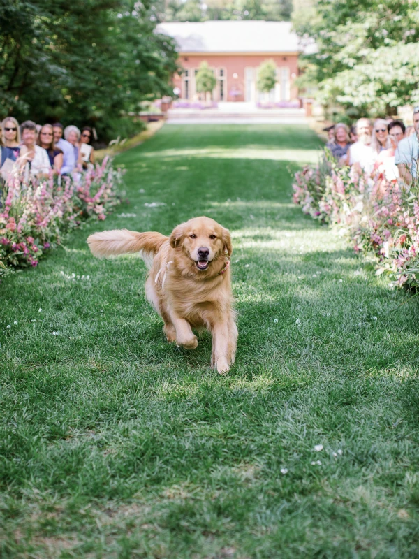 A Garden Wedding for Lucy and Brock