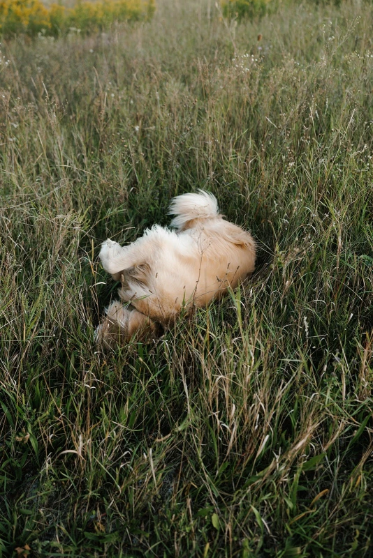 A Whimsical Wedding for Maddie and Bradley