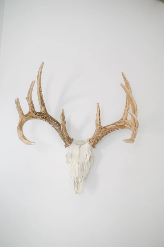 A Rustic Wedding for Maddy and Marshall