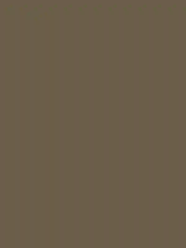 A Lush Wedding for Madi and Joey