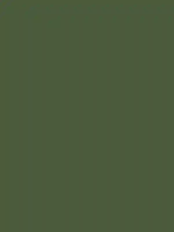 A Lush Wedding for Madi and Joey