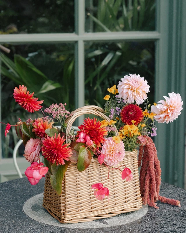 A Colorful Wedding for Madison and James