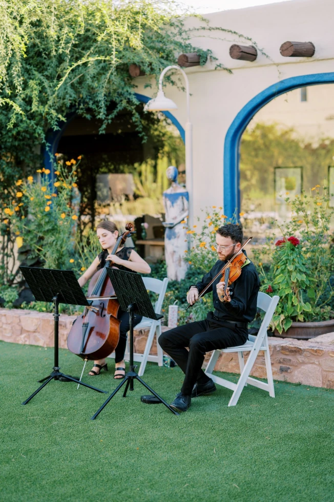 Magnolia Strings