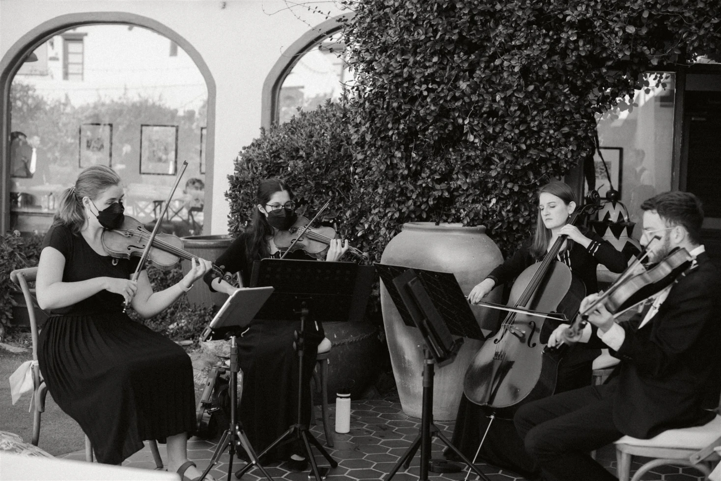 Magnolia Strings