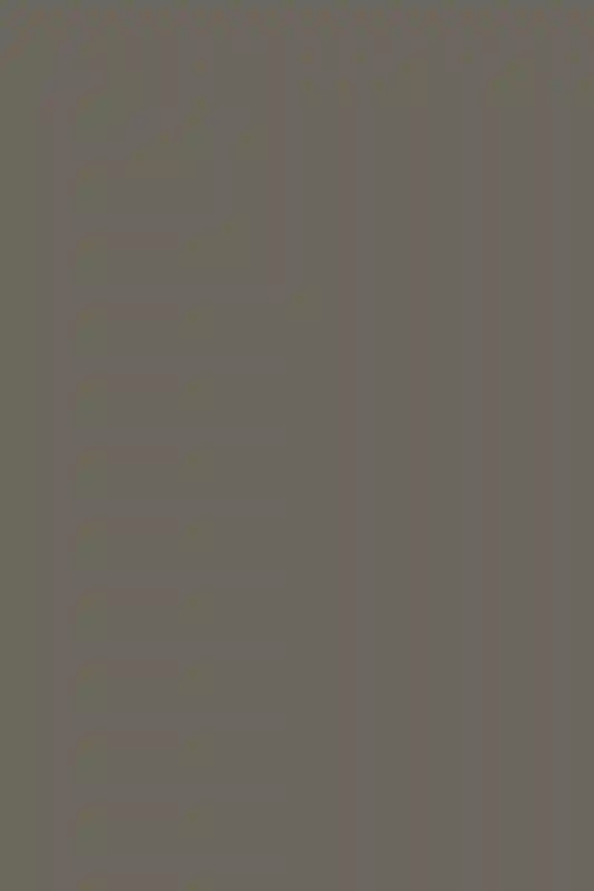 A Jungle Wedding for Malaya and ryan