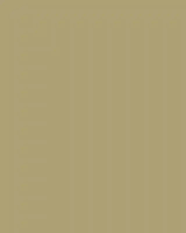 A Jungle Wedding for Malaya and ryan