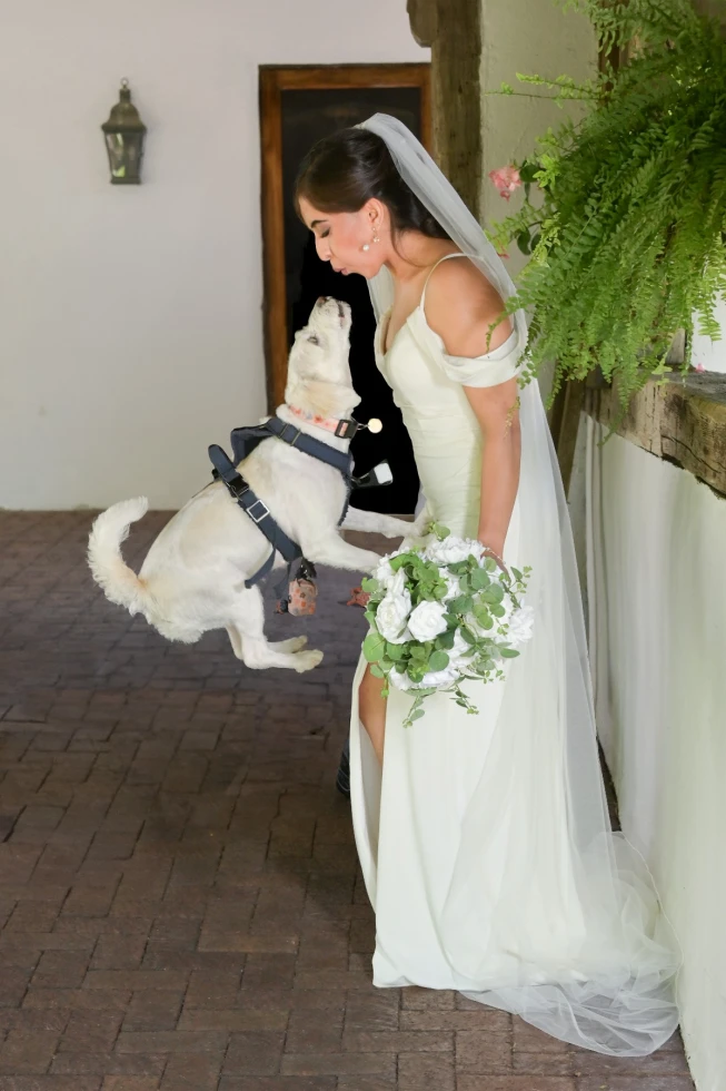 Marci Curtis - The Michigan Wedding Photojournalist