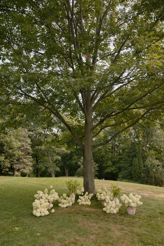 A Classic Wedding for Marie and Julien