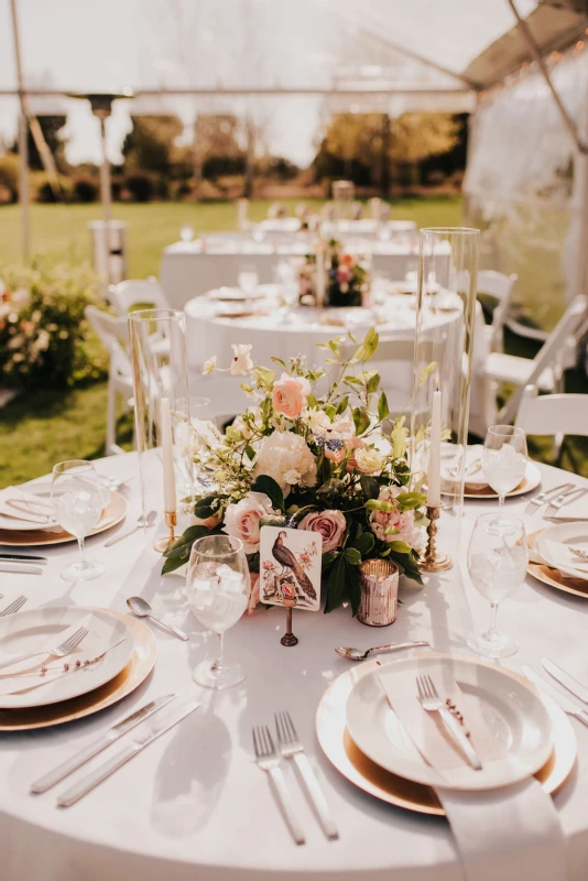 An Outdoor Wedding for Marisa and Stephen