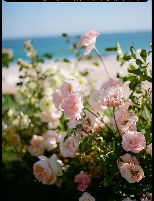 A Beach Wedding for Marlo and Carter