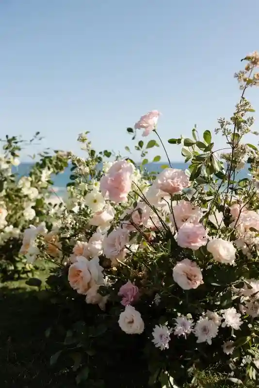 A Beach Wedding for Marlo and Carter