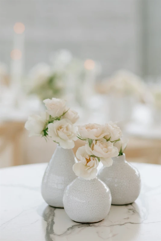 A Mountain Wedding for Megan and Chris