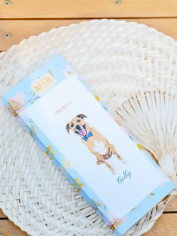 A Colorful Wedding for Megan and Ryan