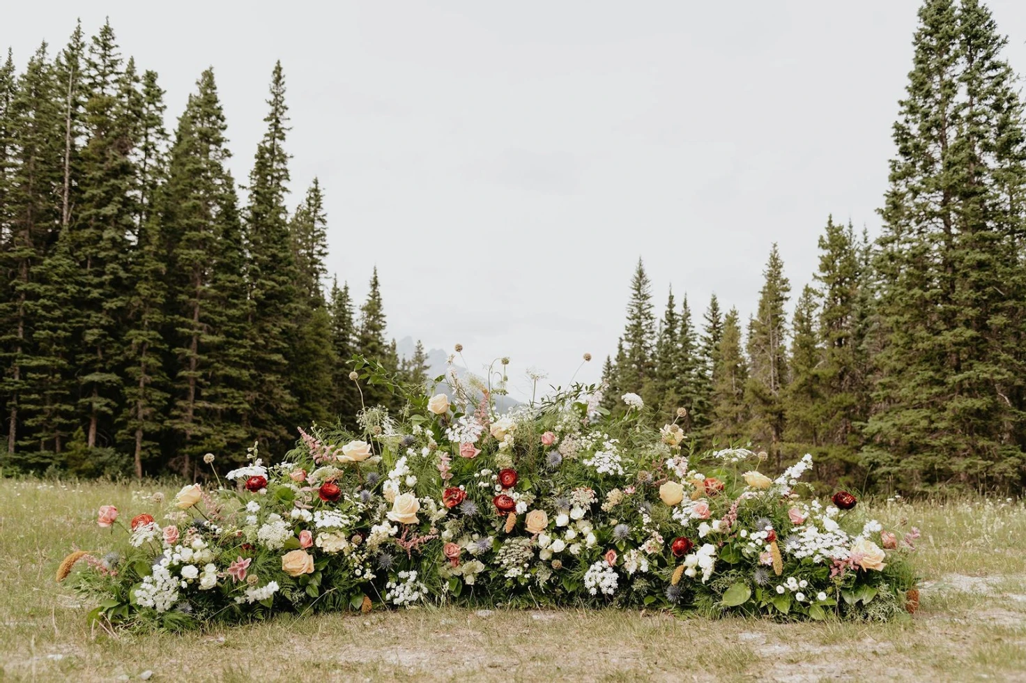 Megan Sawchuk Weddings