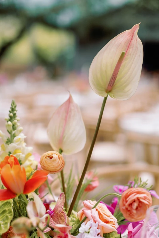 A Colorful Wedding for Meghan and James