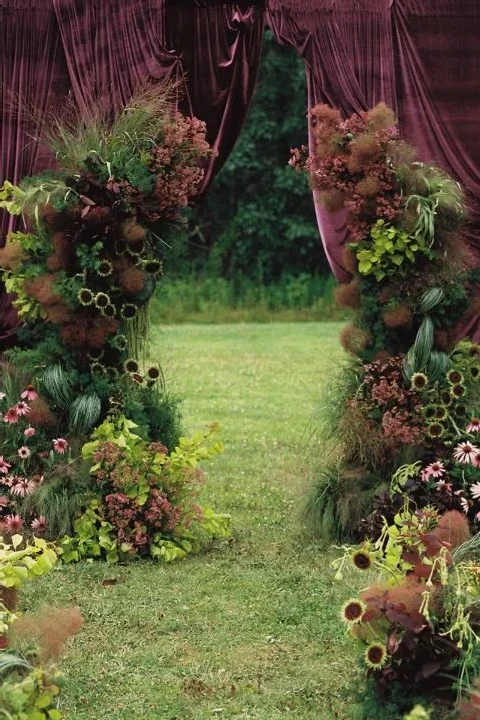 When the Velvet Curtains Rose, a Garden Parlor Bloomed