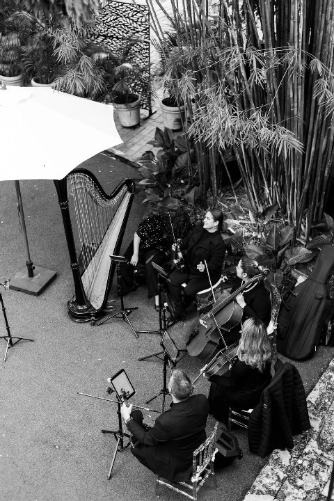MIAMI MUSICIANS FOR EVENTS