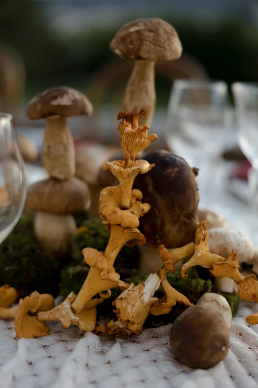 A Boho Wedding for Michelangelo and Antigone