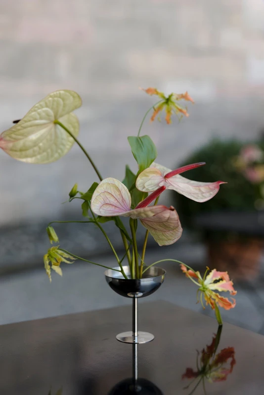 A Boho Wedding for Michelangelo and Antigone